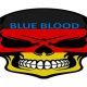 Blue Blood. The objection that said "Germans do not rule Germany" was not only said by the putschist Prince Heinrich XIII and his friends. There would be others