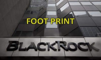 In 2020, when the world was shaken by COVID, BlackRock was taking a significant step and entering the CLIMATE ACTION 100, known as the $40-TRILLION worth club.