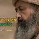 Hay Sultan Capitulo 1