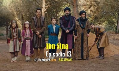 Ibn Sina Capitulo 13