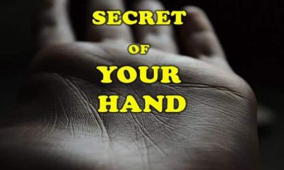 SECRET OF YOUR HAND... What is the secret of your hand? What is the meaning of the marks in your hand?