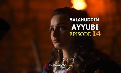 Salahuddin Ayyubi Episode 14